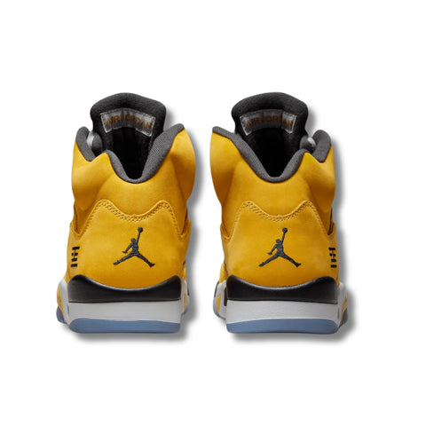 Jordan V "Tokyo 2025"